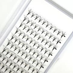 Classic Cluster Lashes
