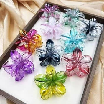 Claw Clips
